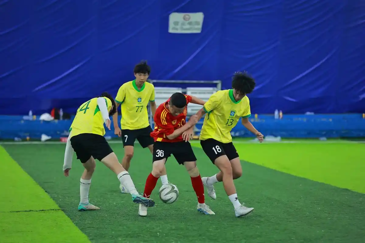 雨燕直播足球免费